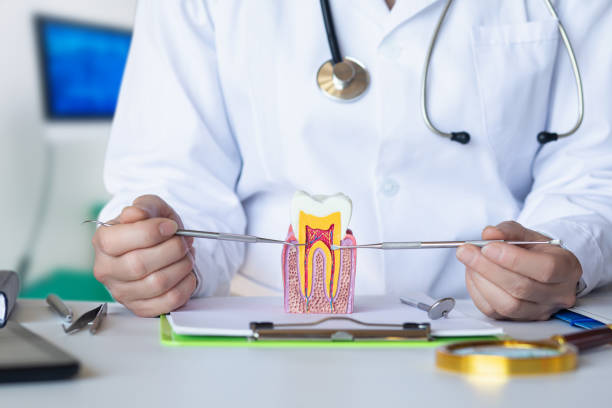Best Knocked-Out Tooth Emergency  in Bolivar, MO